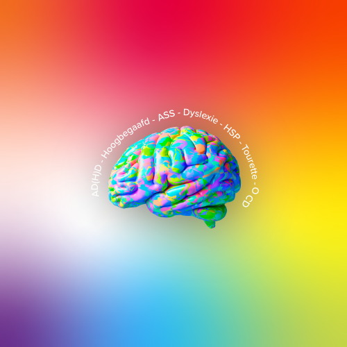 Kleurig brein met de woorden AD(H)D, Hoogbegaafd, ASS, Dyslexie, HSP, Tourette, OCD