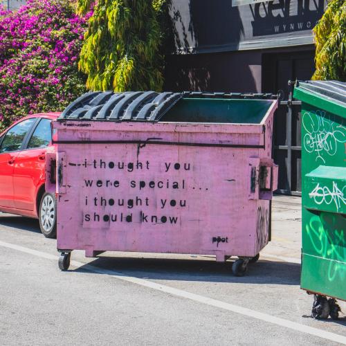 Roze afvalcontainer staat fout geparkeerd aan de kant van de weg. Op de container staat een tekst: "I thought you were special... i thought you should know."